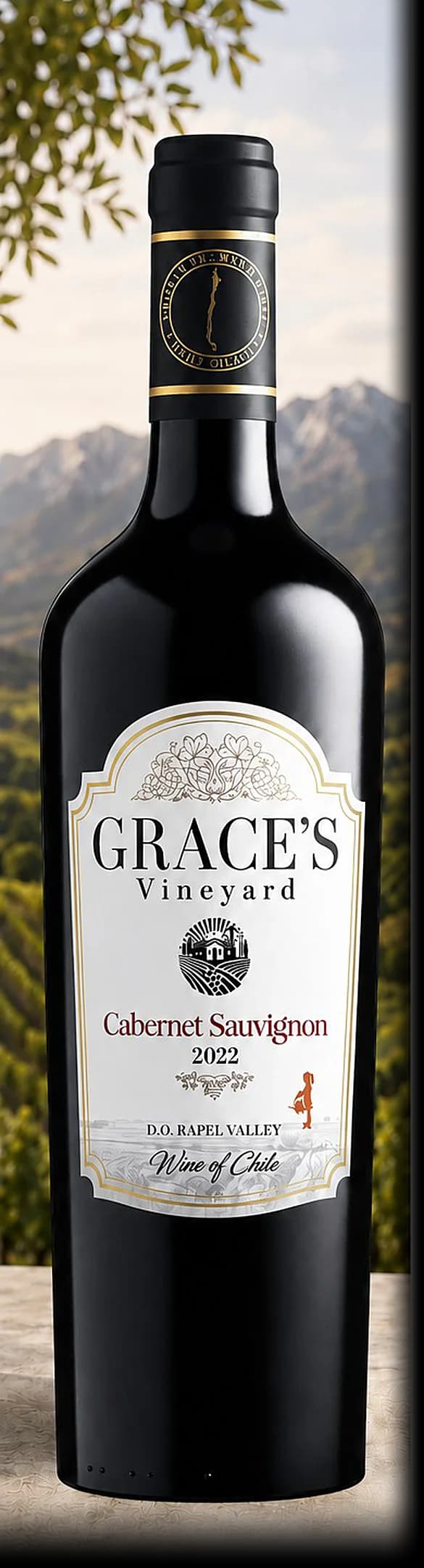 Chile — from the Vindagra portfolio