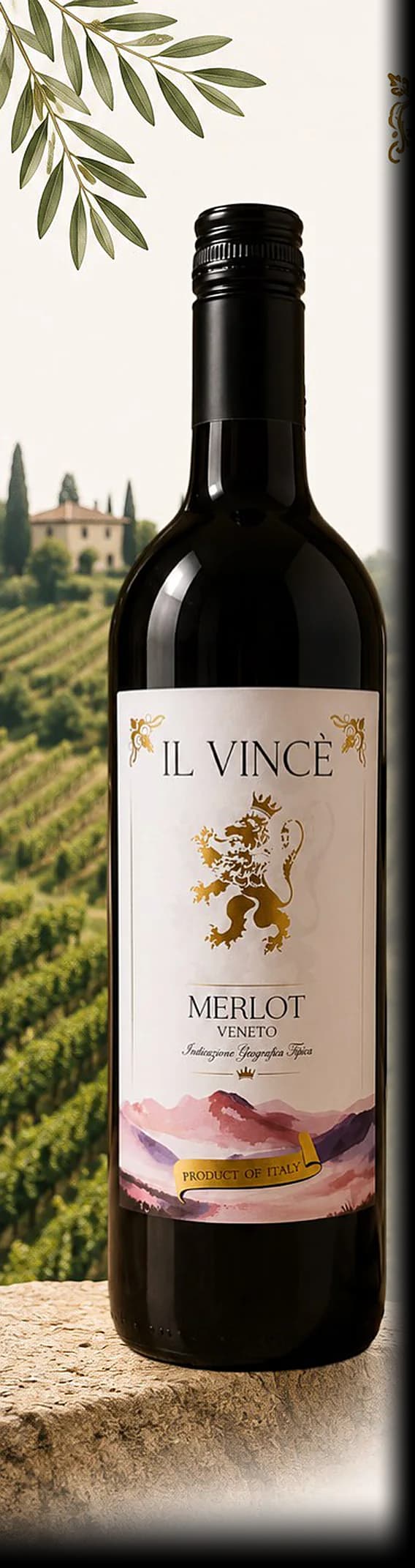 Il Vincè Merlot — bottle photographed for the Vindagra portfolio book